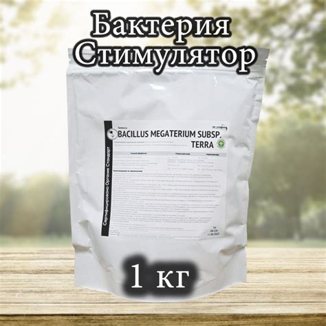 Биостимулятор PLANTECO БИOMAССA BАСILLUS МЕGАTЕRIUM SUВSP. TERRА, 1 кг ...