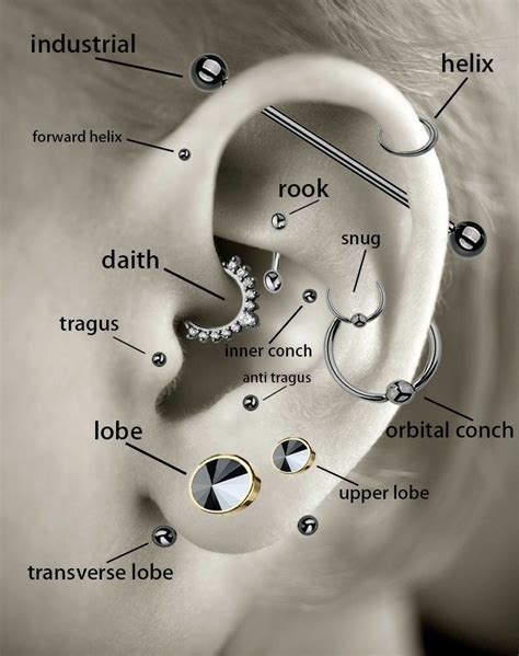 A Guide To Some Ear Piercings Featuring My Personal Favorite Tragus