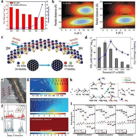 A The Nh 3 Field And Fe Of H Mose 2 At Different Potentials B The Download Scientific