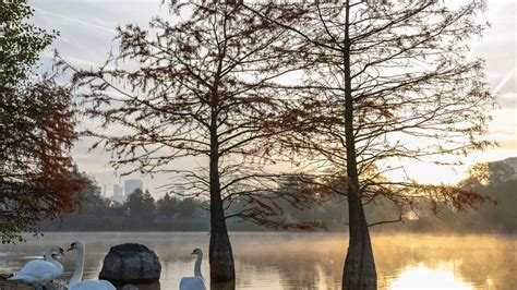 Fr Hling Im Herbst Wetter Zum Wochenstart Mit Teils Milden Temperaturen