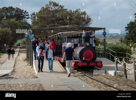 Miniature Train From Pedras D El Rei To Barril Beach On On Ilha De