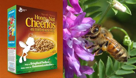 Honey Nut Cheerios removes mascot from boxes to raise awareness about ...