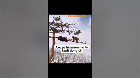 Ano Ba Kasi Gnagawa Mo Jan Sa Puno 😂😂😂 Ayan Tuloy 😂😂😂 Youtube