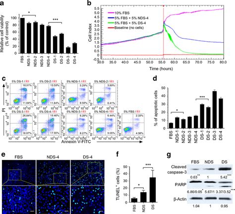 The Effects Of NDS Or DS On The Proliferation And Survival Of HUCMSCs