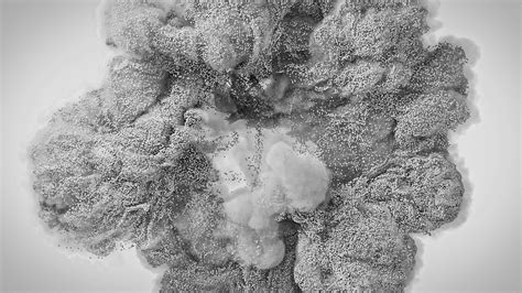 Ecorganic - Eco Market on Behance