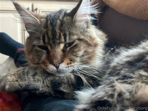 Criscyborg Nude OnlyFans Leaks The Fappening Photo 4833209 FappeningBook