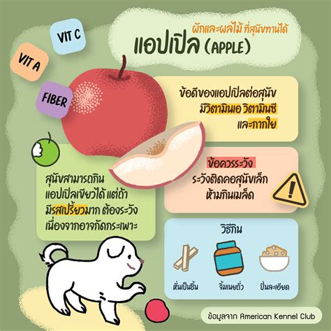 ผลงาน Veggies Dogs can Eat