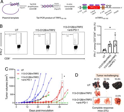 Design And Lyophilization Of Lipid Nanoparticles For MRNA 50 OFF