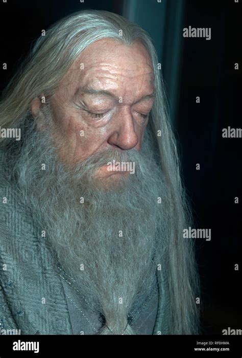 Michael gambon dumbledore hi-res stock photography and images - Alamy