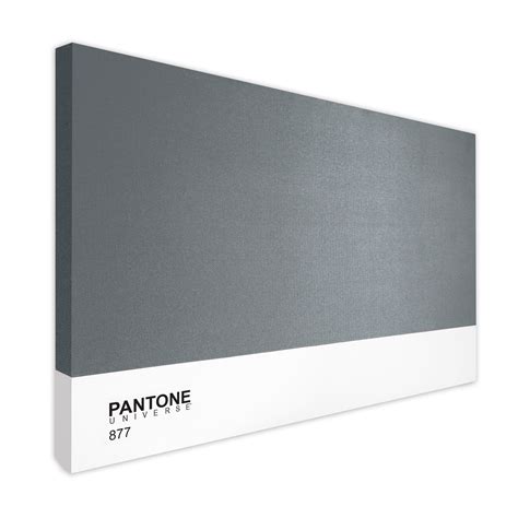 Limited Edition Collection // Silver 877 - Pantone - Touch of Modern