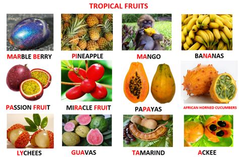 African Fruits And Their Names Wallpaperpchdcute