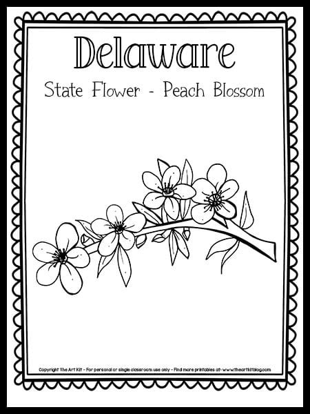 Delaware State Flower Peach Blossom Coloring Page The Art Kit Copy