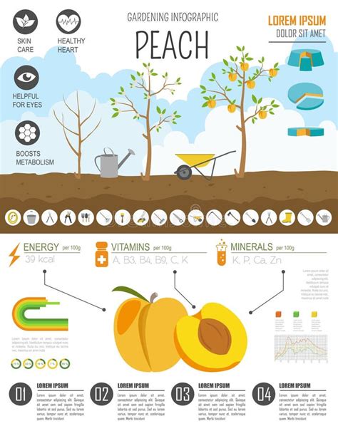 Trabalho De Jardinagem Cultivo Infographic P Ssego Molde Gr Fico Fl