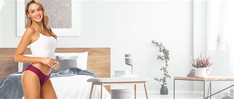 Wealurre Womens Underwear Lace Sexy Panties Bikini Panty For Women Seamless Hipster Pack S B