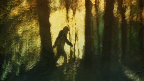 Has Bigfoot Been Caught on Camera? The New Bigfoot Footage, Explained
