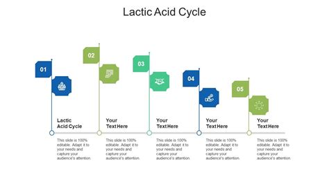 Lactic Acid Cycle Ppt Powerpoint Presentation Icon Background Images Cpb | Presentation Graphics ...