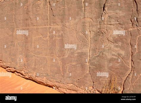 North Africa Sahara Algeria Tassili N Ajjer National Park Tadrart