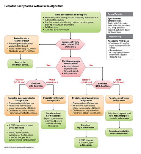 Algorithms American Heart Association Cpr And First Aid