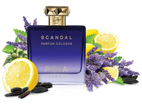 Roja Parfums Scandal Pour Homme Parfum Cologne Best Sale E Hilltop