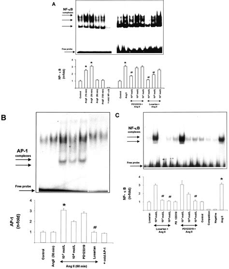 Systemic Infusion Of Angiotensin II Into Normal Rats Activates Nuclear