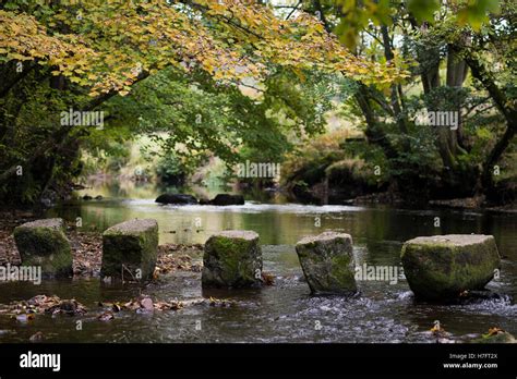 Stepping Stones To Dunsford Across The River Teign Bridford Wood