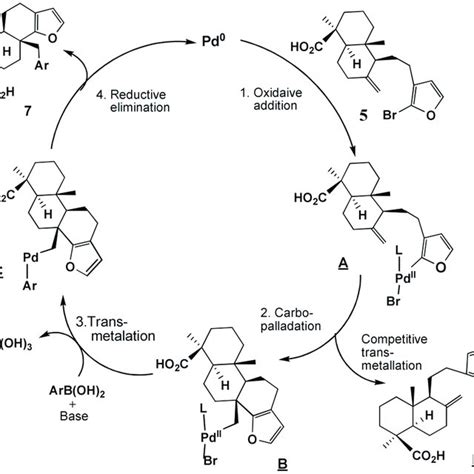 Scheme 3 Proposed Catalytic Cycle Of Diastereoselective Pd Catalyzed