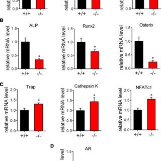 The Absence Of Cmklr Signaling Causes A Change Of Serum Sex Steroid