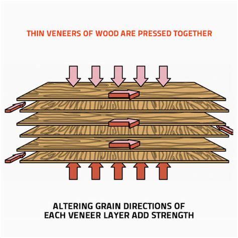 Get To Grips With Important Plywood Basics Buildworld UK