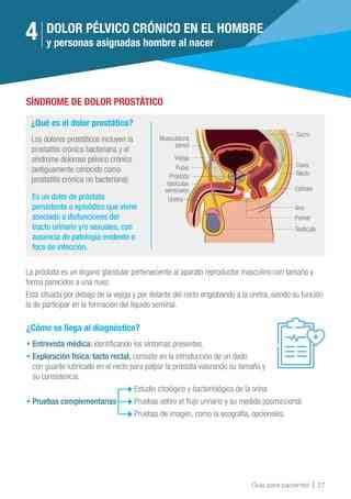 Gu A Completa Sobre El Dolor P Lvico En Hombres Neurat