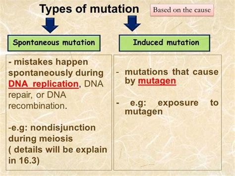 Induced Mutation