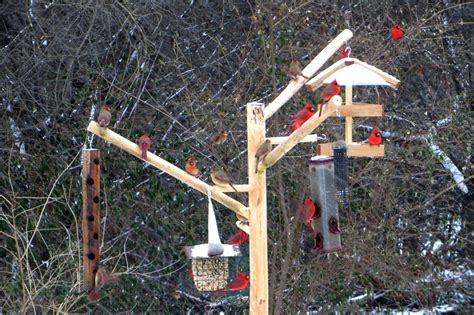 Bird feeder poles stations and bird house by WoodBirdFeederFrenzy