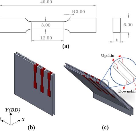 Dimensions Of Standard Tensile Specimens All Dimensions Are In Mm Download Scientific Diagram