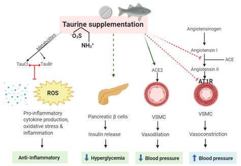 Nutrients Free Full Text The Anti Inflammatory Effect Of Taurine On Cardiovascular Disease