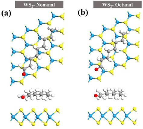 The Relaxed Atomic Structures Of A Nonanal And B Octanal Adsorption