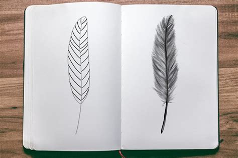 Feather Drawing - An Easy Feather Drawing Tutorial