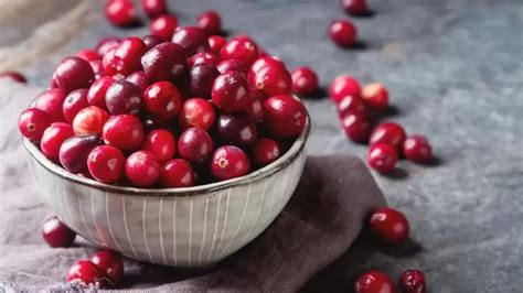 Cranberry Conheça Os Benefícios E Contraindicações