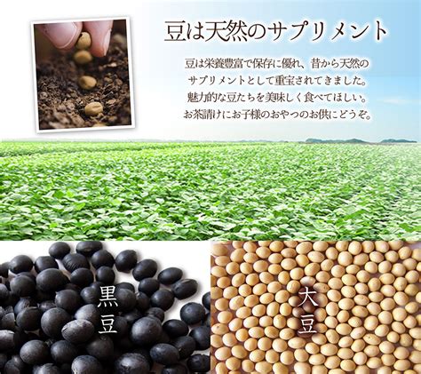 【オープニング 宮本邦製菓 栄養機能食品 Soy美ean 美人をつくる大豆生活 黒糖 黒酢 黒豆 40g×20p 佐賀県 土産 豆菓子 おやつ