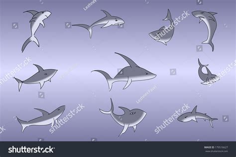 Set Different Sharks Lines Stock Vector Royalty Free 179516627