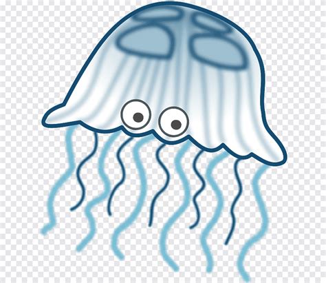 Medusas Mar Medusas Diverso Blanco Png Pngegg