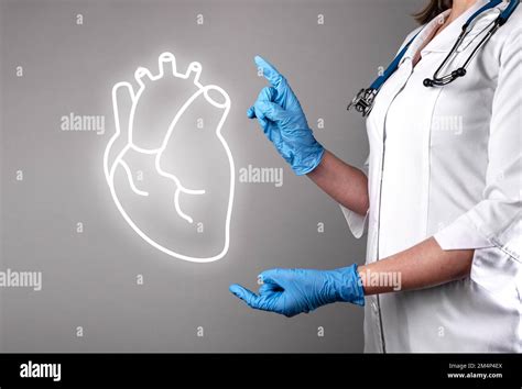 Cardiology Concept Heart Health Medical Check Up Hospital Checkup