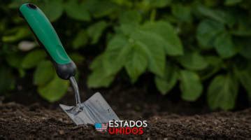 Dónde Comprar Tierra para Jardín por Yarda