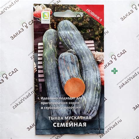 Фото и описание семян тыквы разных сортов в каталоге
