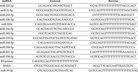 Primer sequences used to amplify each miRNA identified in this study ... 