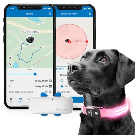 Find The Best Activity Trackers For Dogs Reviews And Comparison Katynel