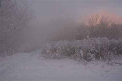 Ледяной туман (44 фото)
