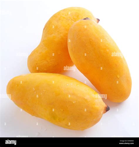 Mango Stock Photo Alamy