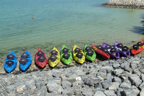 Kayaking in the Mangroves of Abu Dhabi – cruiselights.net