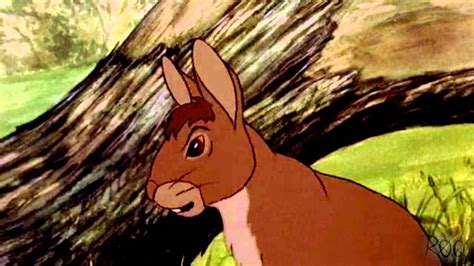 The Last Of Us WaterShip Down AMV YouTube