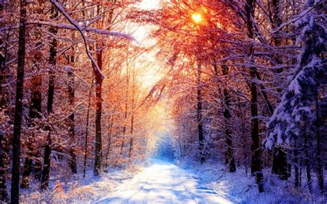 Desktop Backgrounds Winter Nature - 4096x2160 Wallpaper - teahub.io