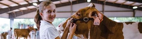 Junior Open and 4-H Central Region Dairy Cattle Show